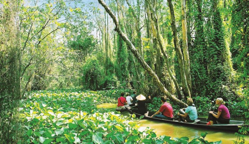 Đồng Tháp sở hữu vẻ đẹp bình dị và hài hòa trong văn hóa và thiên nhiên