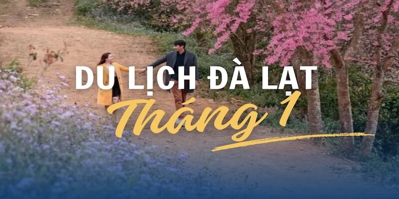 Có nên du lịch Đà Lạt tháng 1?