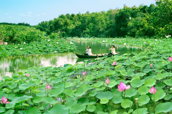 Khu bảo tồn Láng Sen - Long An, khu Ramsar thứ 7 của Việt Nam!