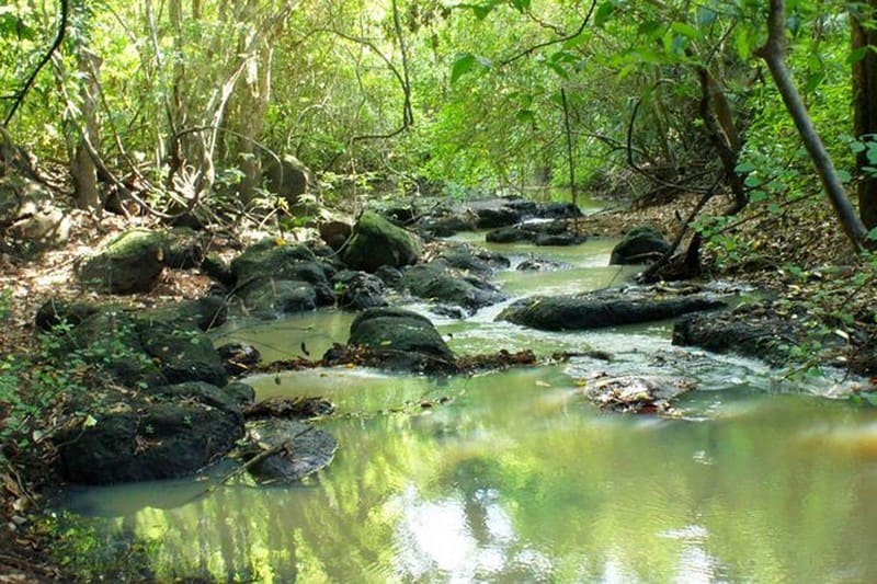 Với hệ sinh thái đa dạng, vườn quốc gia Lò Gò- Xa Mát là nơi mà người yêu thiên nhiên không thể bỏ qua khi đến Tây Ninh